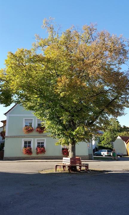 Gasthaus Goldenes Kreuz